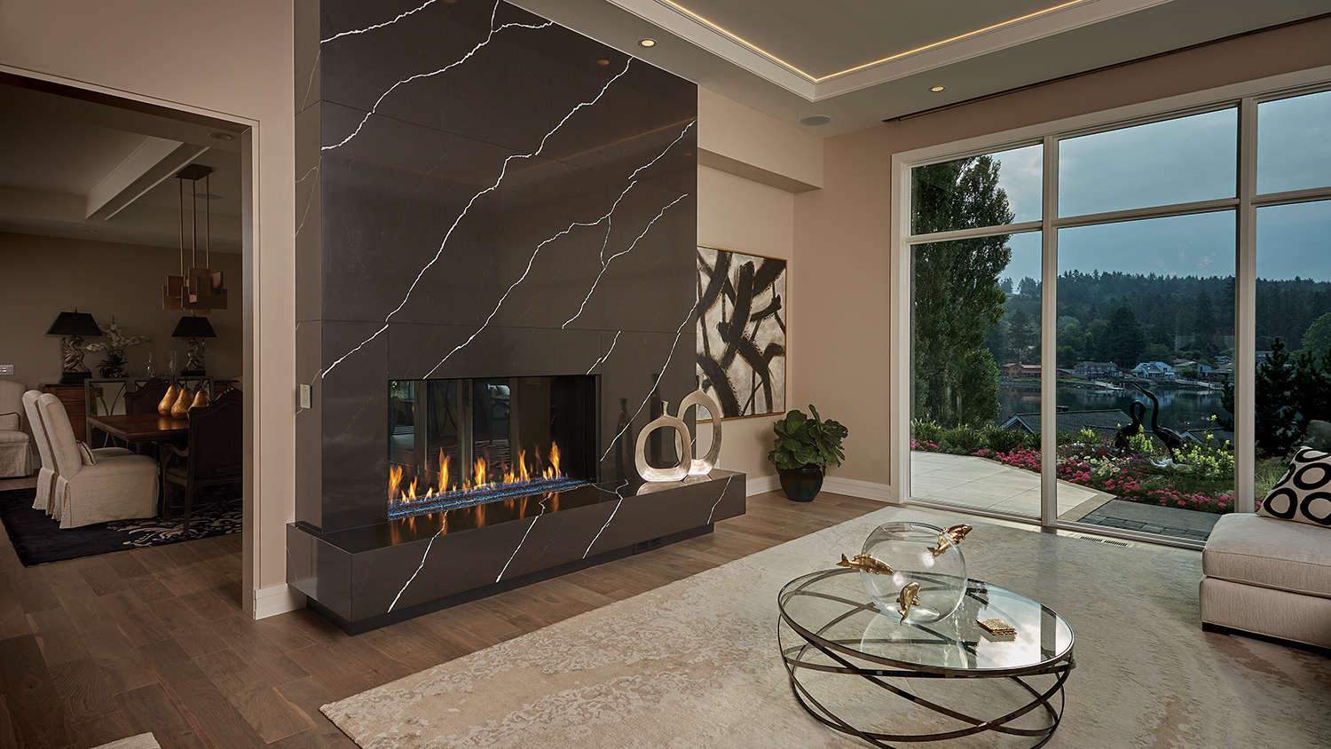 Davinci See Thur Gas Fireplace Davinci See Thur Gas Fireplace