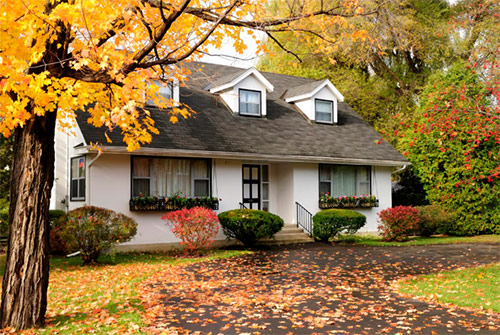 Fall and winter Fireplace cleaning and Inspection